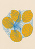 Five Lemons In a Net Bag Poster Print - Rosi Feist