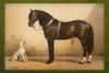 Best Buddies Back in the Stable Poster Print - GST