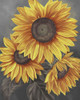 We are the sun I Poster Print - Marianne Broome
