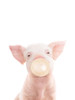 Bubble gum piglet Poster Print - and Seb Sisi