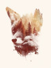 Blind Fox Poster Print - Robert Farkas