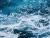 Aquatic Foamy Goodness Poster Print - Melissa Nebula