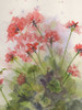 Geraniums 4 Poster Print - Patti Bishop
