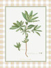 Green Leaf Botanical #2 Poster Print - GST