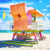 Lifeguard Stand 3 Poster Print - Riley B