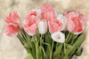 Pink And White Tulips Poster Print - Kimberly Allen