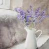 Lavender in a Vase Poster Print - Riley B