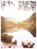 Resting Lakeside Poster Print - GST