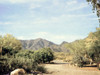 Desert Path Poster Print - GST