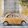Vintage Italian Bug Poster Print - Riley B