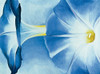 OKeefe Blue Morning Glories Poster Print - Collection Masters