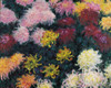 Monet-Chrysanthemum Poster Print - Collection Masters