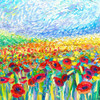 Poppies Study Poster Print - Iris Scott