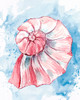 Coast Shell Pastel 2 Poster Print - Kimberly Allen