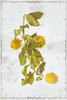 Lemon Branch II Poster Print - GST