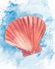 Coast Shell Pastel 3 Poster Print - Kimberly Allen