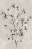 Botanical Delight III Poster Print - Asia Jensen