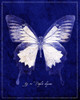 Blue Mountain Butterfly Cyanotype Poster Print - ArtLab GI