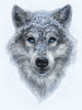 Winter Wolf Poster Print - Patrick LaMontagne