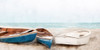 Three Beached Poster Print - Kimberly Allen