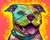 Dewey Pit Bull Poster Print - Russo Collection Dean