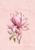 Magnolia Pink No2 Poster Print - Andrea Haase