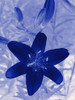 Lily Poster Print - GST