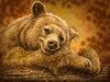 Sleepy Bear Poster Print - Patrick LaMontagne