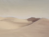 Deserted Oasis Poster Print - Marcus Prime