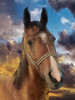 Twilight Steed Poster Print - Marcus Prime