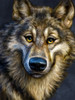 Wolf Totem Poster Print - Patrick LaMontagne Wolf Totem Poster Print - Patrick LaMontagne