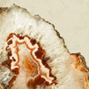 Desert Agate B Poster Print - ArtLab GI