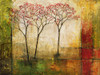 Morning Luster II Poster Print - Mike Klung