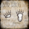 Moose Lodge 2 - Bear Tracks 2 Poster Print - LightBoxJournal