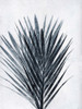 Palm 2 Grey Poster Print - Pernille Folcarelli