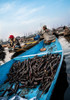 Dal Lake Vegetable Market-8 Poster Print - Mona Singh