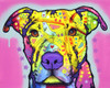 Focused Pit Poster Print - Russo Collection Dean