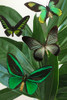Emerald Butterflies Poster Print - GST