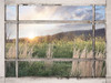 Country Sunset Poster Print - Lori Deiter