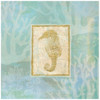 Seahorse II Poster Print - John Zaccheo