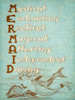 Mermaid Typography with Dolphin Poster Print - GST