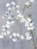 Blue White Blossoms I Poster Print - Asia Jensen