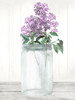 Lilac Jar 2 Poster Print - Kimberly Allen