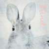 Kind Poster Print - GST