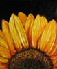 Sunflower Sunflower Poster Print - Marcia Baldwin