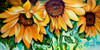 Sunflower Dance Poster Print - Marcia Baldwin