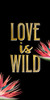 Love is Wild Poster Print - Kimberly Allen
