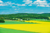 Canada-Quebec-St-Bruno-de-Guigues. Yellow canola crops on farm. Poster Print - Gallery Jaynes