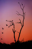 Mysterious Sunset Poster Print - Rainbow Fine Jenny