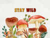 Mushrooms And Leaves 6 Poster Print - Kimberly Allen